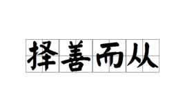 择善而从